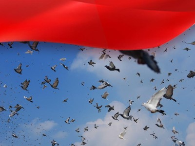 伟大胜利光耀千秋——中国人民抗日战争暨世界反法西斯战争胜利80周年纪念活动启示录（一）