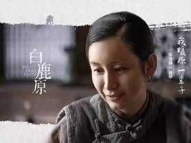 白鹿原电视剧在线观看,穿越历史的长河，探寻家族兴衰之谜