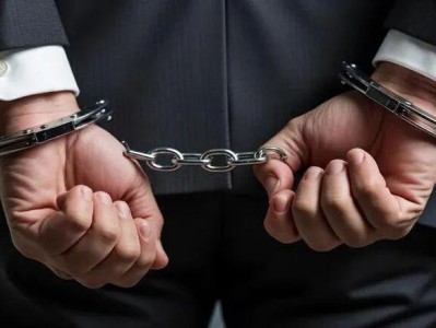 华侨系核心人物刘鹏被刑拘