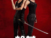 电视剧枪花全集,烽火岁月里的青春传奇