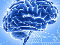 在线理论片,揭秘在线理论片的魅力与启示