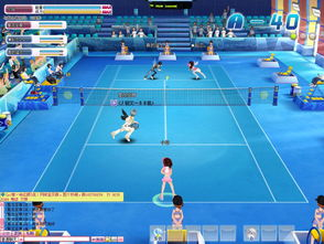 网球宝贝游戏,挥洒青春，网球场上的魅力对决